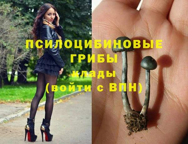 кокс Ладушкин