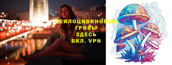 кокс Ладушкин