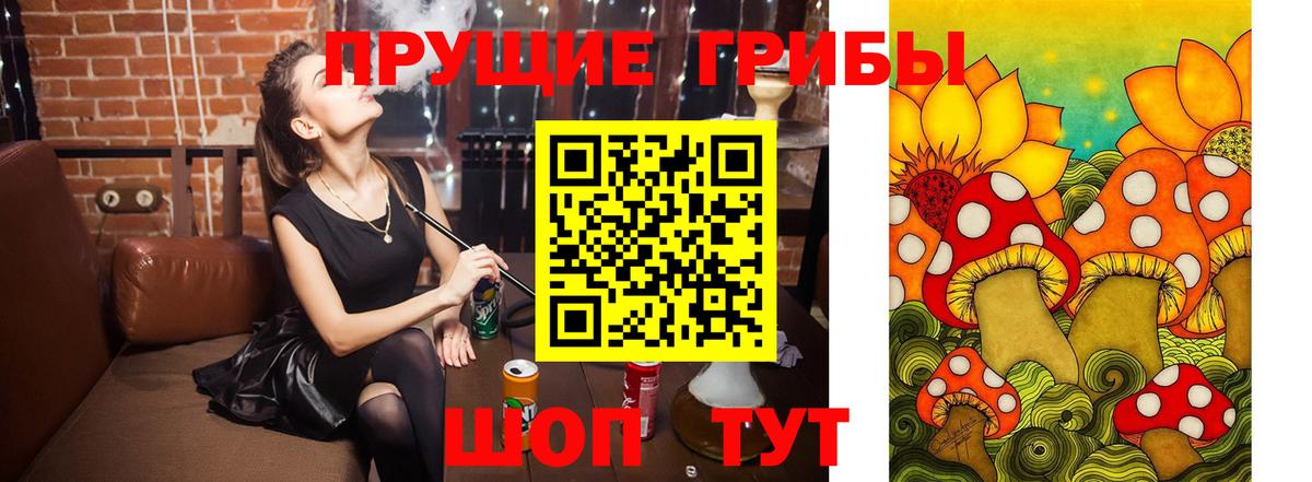 Галлюциногенные грибы Psilocybine cubensis  Галлюциногенные грибы мухоморы  Муравленко  Вход с VPN 